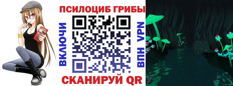 Псилоцибиновые грибы Magic Shrooms Светогорск