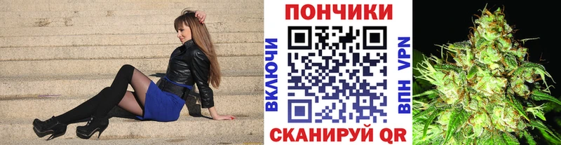 Купить закладки  Светогорск  Шишки марихуана сатива 